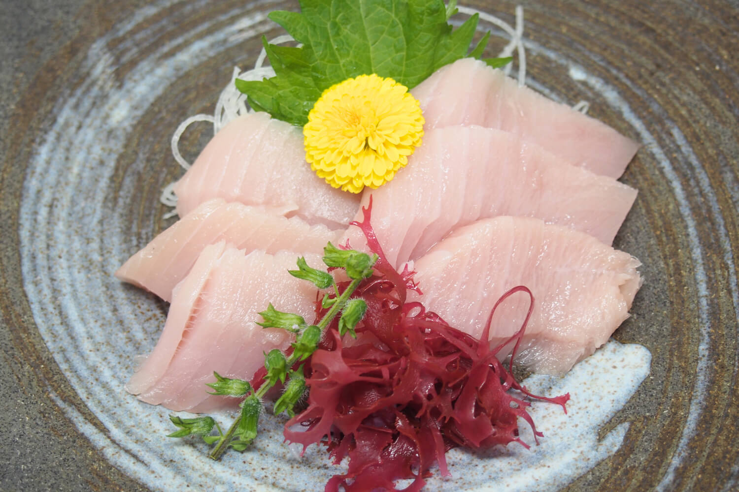 250520-edokko-nigiri-sushi-sashimi-albacore-toro