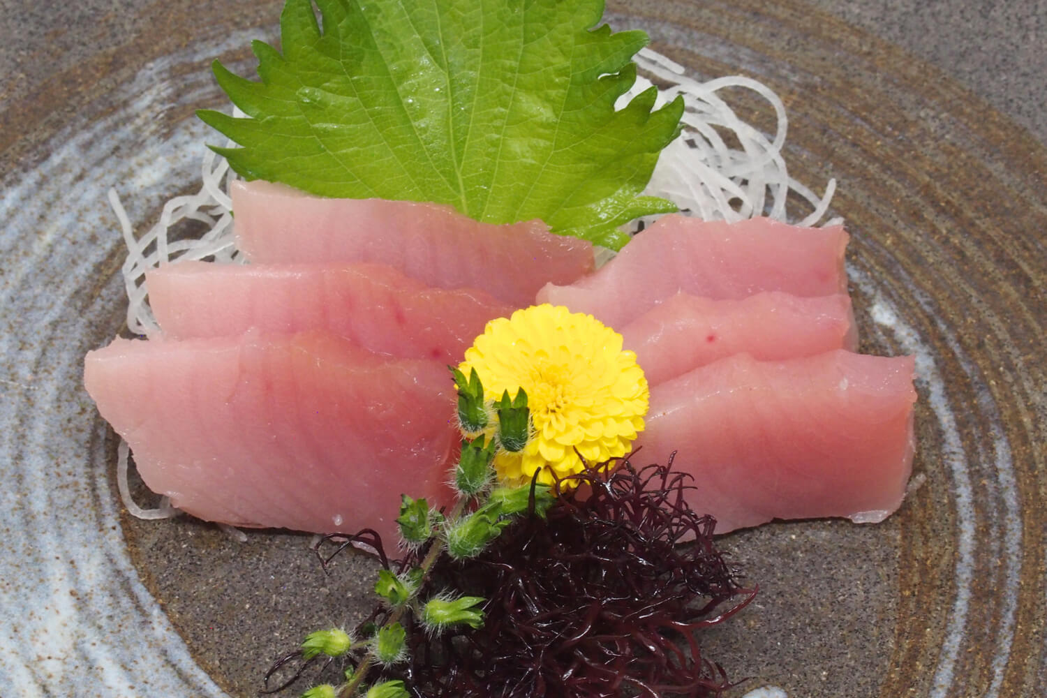 250520-edokko-nigiri-sushi-sashimi-albacore