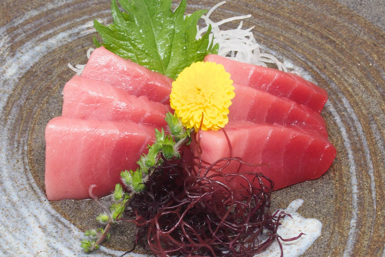 250520-edokko-nigiri-sushi-sashimi-chu-toro