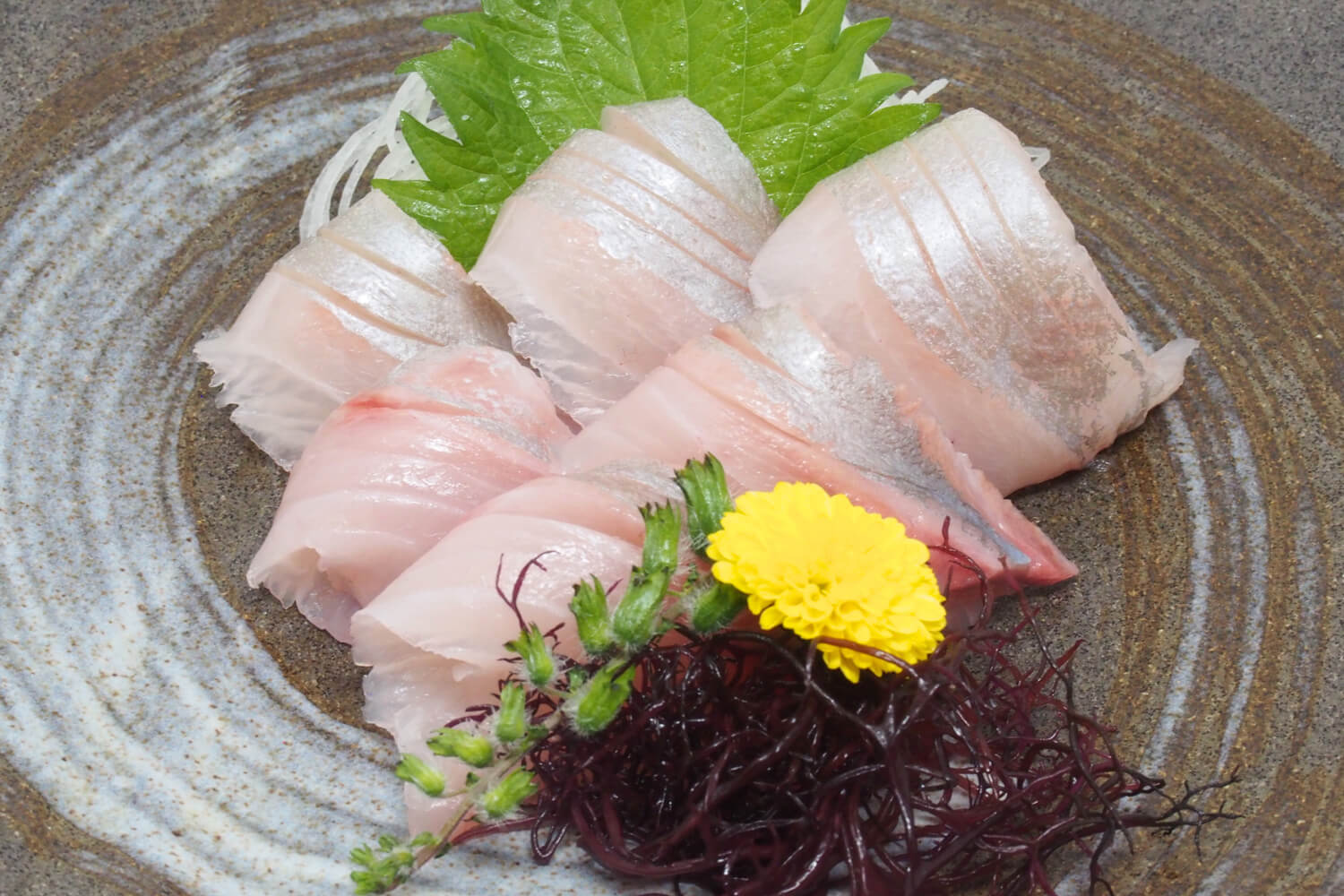250520-edokko-nigiri-sushi-sashimi-kanpachi-toro