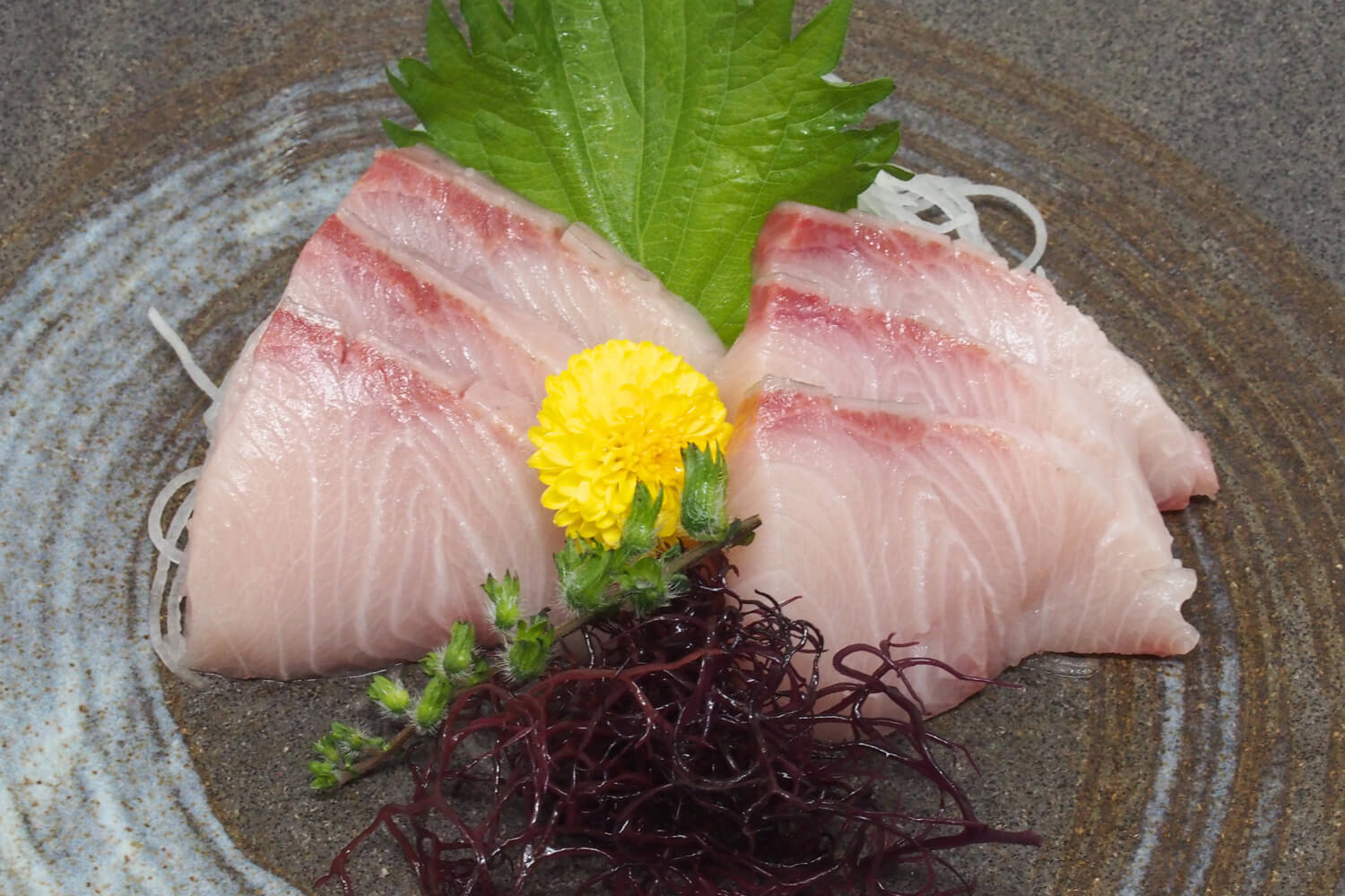 250520-edokko-nigiri-sushi-sashimi-kanpachi