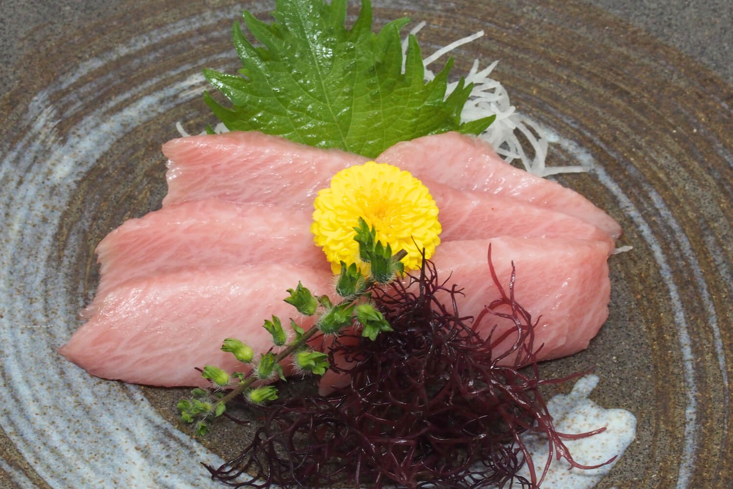 250520-edokko-nigiri-sushi-sashimi-o-toro