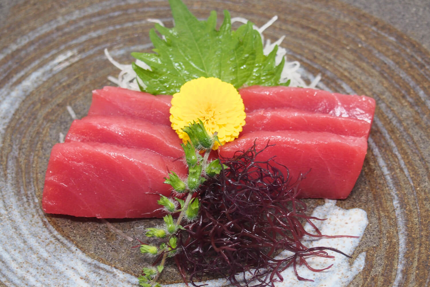 250520-edokko-nigiri-sushi-sashimi-red-tuna
