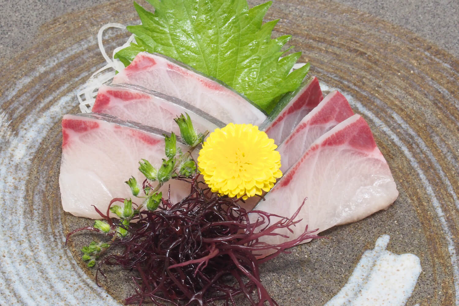 250520-edokko-nigiri-sushi-sashimi-shimaaji