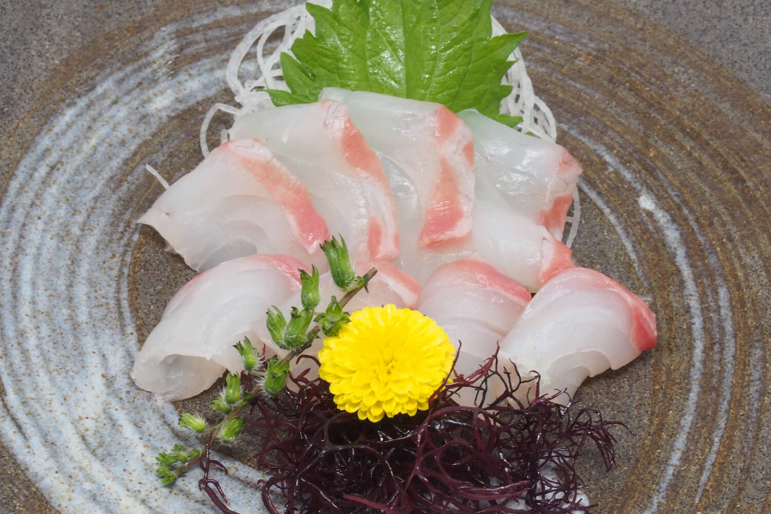 250520-edokko-nigiri-sushi-sashimi-tai